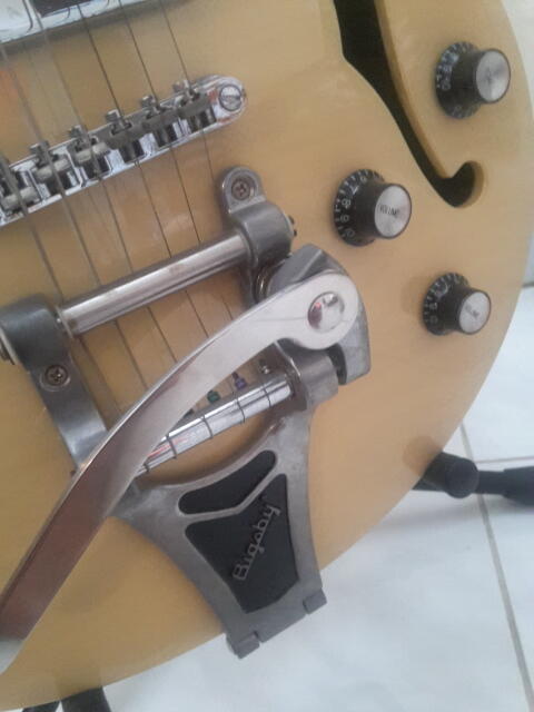 Jual Epiphone Wildkat Semi Hollowbody