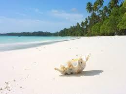 Pantai Cantik dengan Warna Paling Aneh