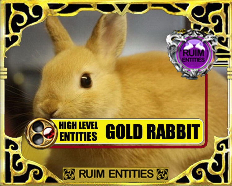 RUIM ENTITIES : SPECIAL HIGH LEVEL ENTITIES CONJURATION