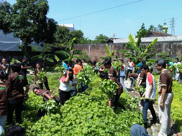 Gerakan Inspiratif di Indonesia yang bikin kamu Optimis.