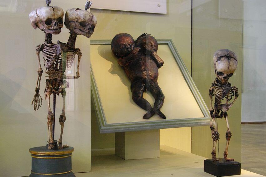 Museum-Museum Paling Unik Yang Sayang Kalo Kamu Lewatkan