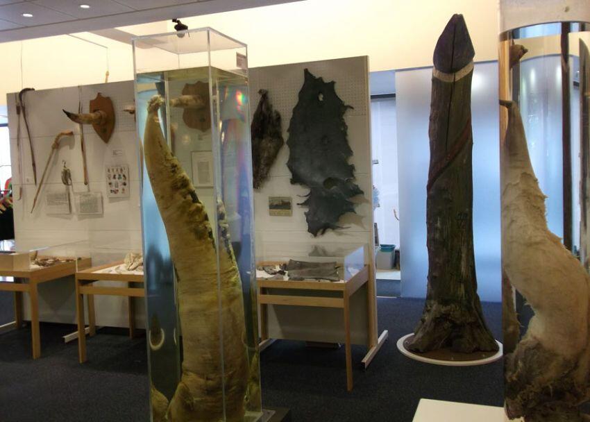 Museum-Museum Paling Unik Yang Sayang Kalo Kamu Lewatkan