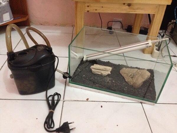 Paket Aquascape (Custom mini aquarium, batu, lampu, pump)