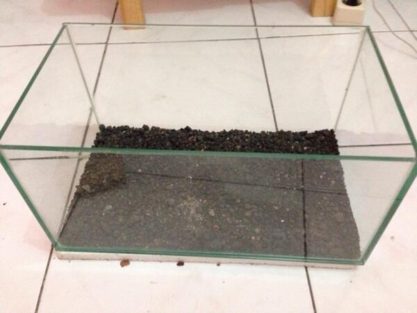 Paket Aquascape (Custom mini aquarium, batu, lampu, pump)