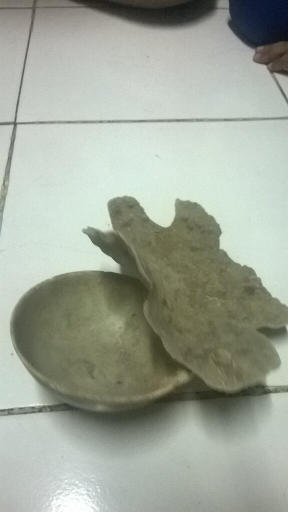 Mangkok antik china (tumbuh terumbu karang)