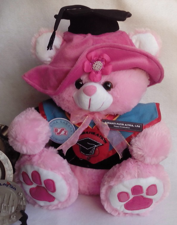 Boneka Wisuda Murah