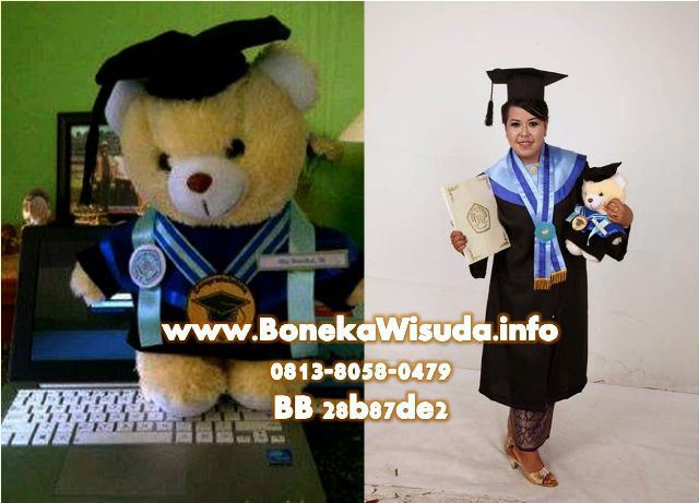 Boneka Wisuda Murah