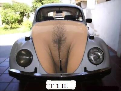 Dicari VW Beetle Yg kek Gini..