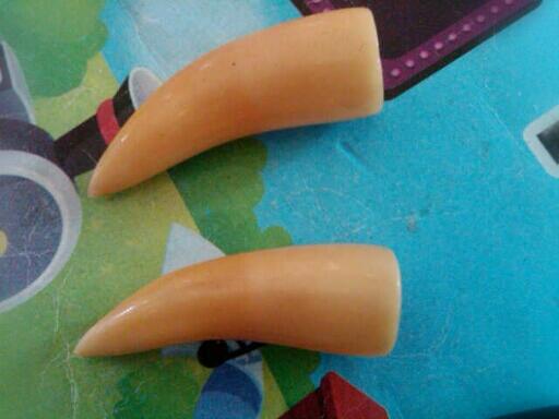 WTS Taring Ikan Paus ORCA ORI 100%