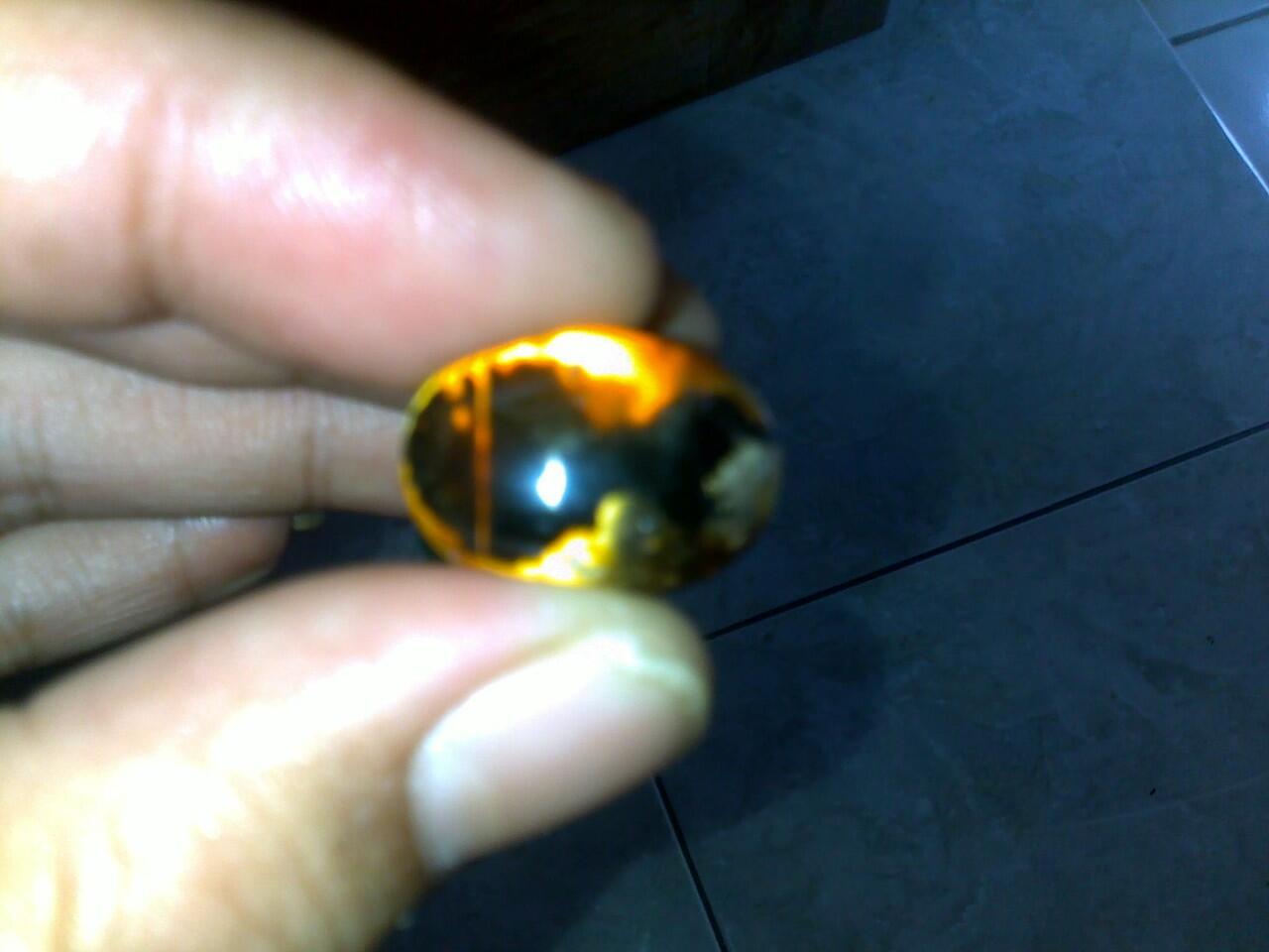 WTS : Batu Gambar Ikan Cupang ( RARE : Collector item )