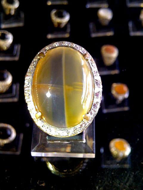 Tapak Jalak Kristal