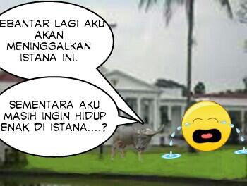 ketika kebo di istana