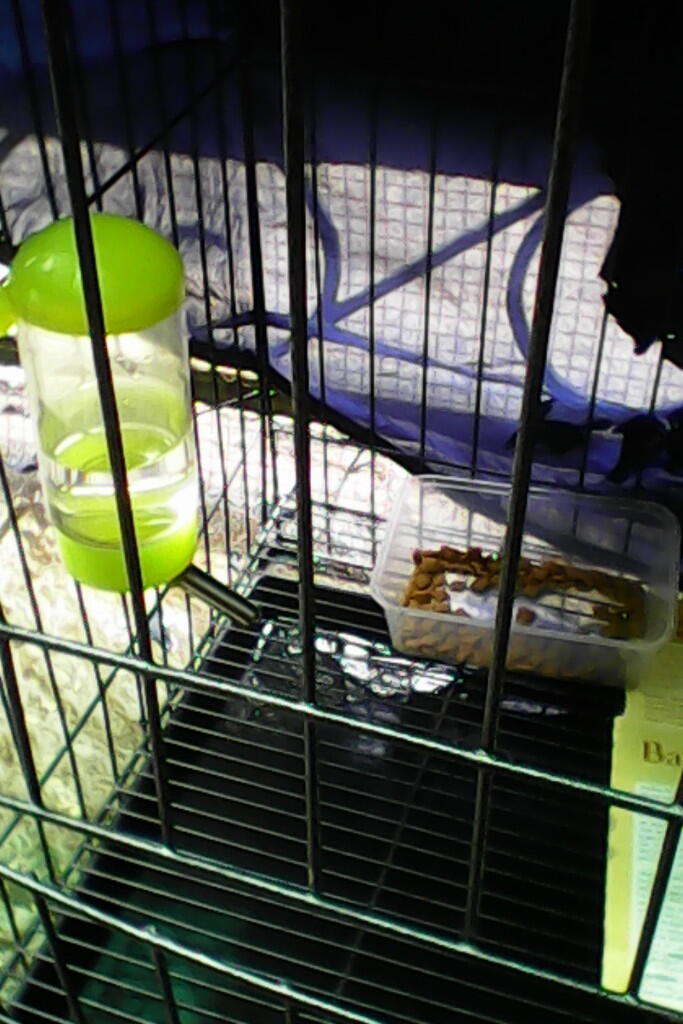 terjual kandang kucing lipat tingkat 2 kaskus terjual kandang kucing lipat tingkat 2 kaskus