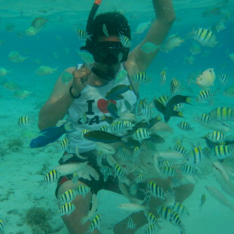 pulau surga harapan island