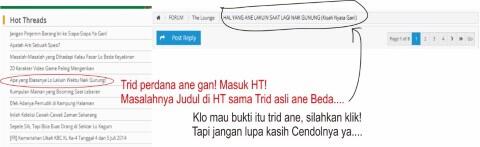 CATATAN HATI SEORANG NEWBIE! (VERSI HATI ANE)