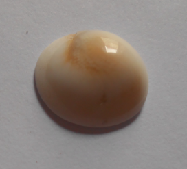 Lelang Batu Cincin Gemstone, Permata, End 21 Agustus 2014 (Kamis/21.30)