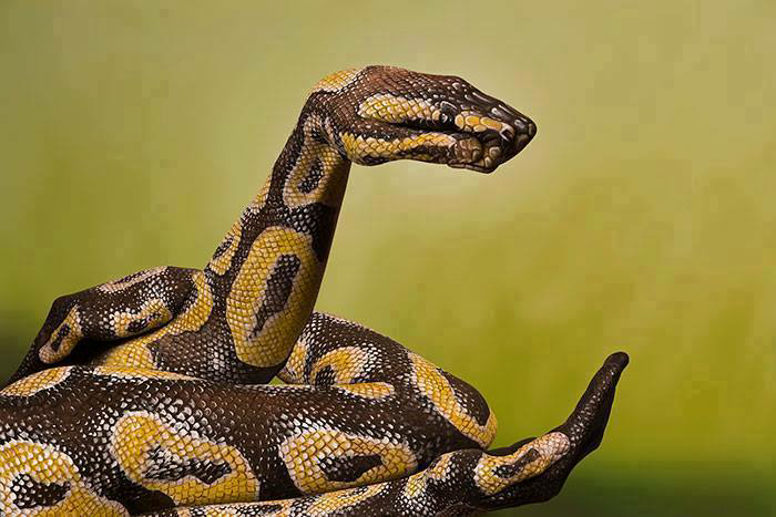 Body Art Keren Gan &#91;Pict&#93;