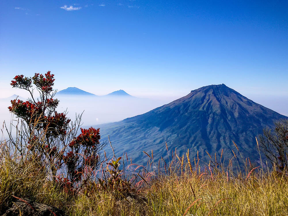 &#91;SHARE&#93; Cerita Naik ke Sindoro from 3155mdpl