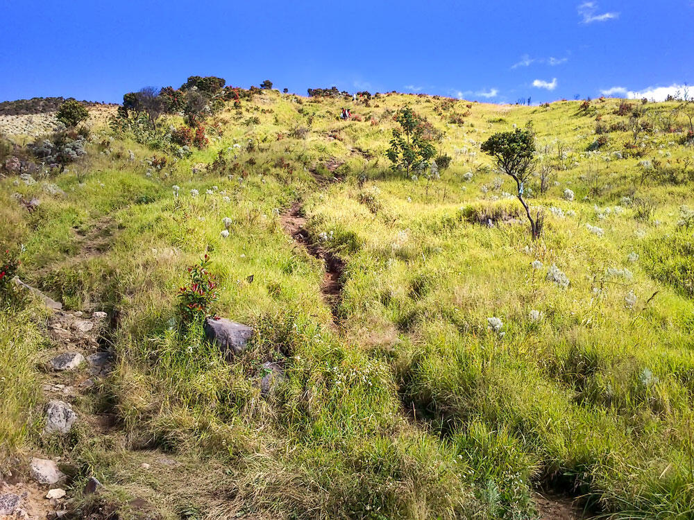 &#91;SHARE&#93; Cerita Naik ke Sindoro from 3155mdpl