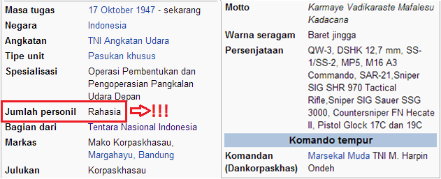 &#91;LANJUTAN LAGI&#93; Berbagai Alat Utama Sistem Senjata (Alutsista) TNI AU