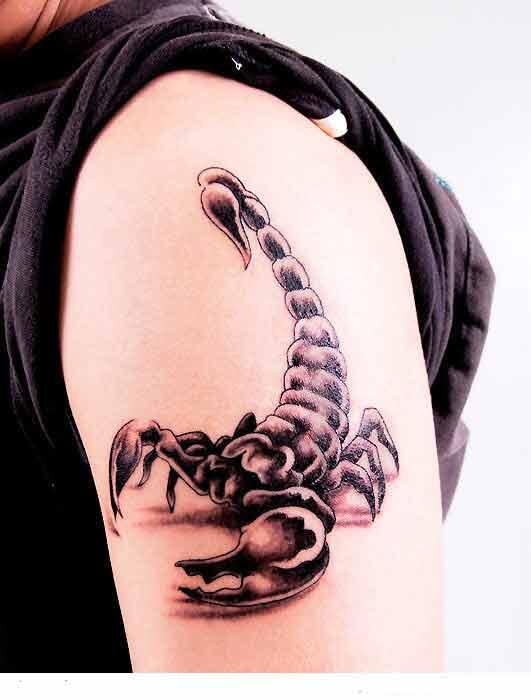 Apa sih Arti  Tato  Scorpion Kalajengking  Itu Tattoo KASKUS