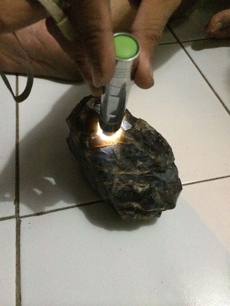 Idocrase Solar ( Lumut Aceh Solar )