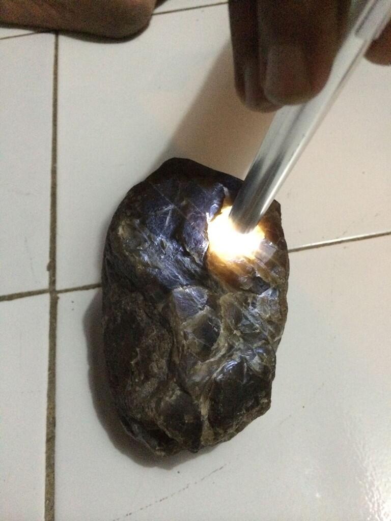 Idocrase Solar ( Lumut Aceh Solar )