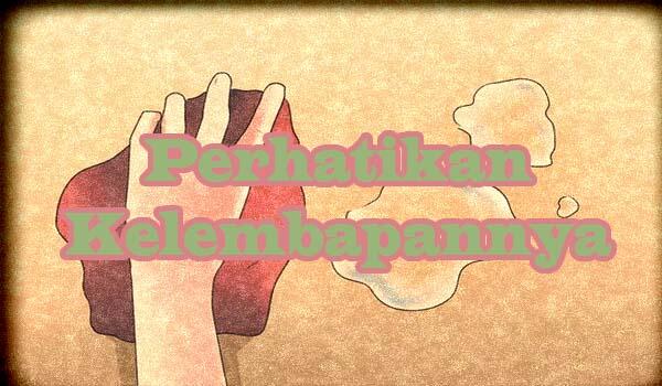 Perjuangan Membasmi Agas (Si Serangga Kecil Yang Menjengkelkan)