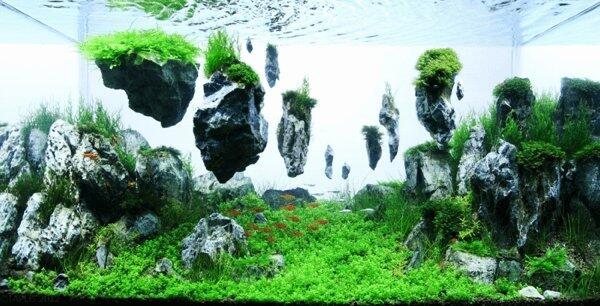 yuk coba liat design aquarium yang patut dicoba 