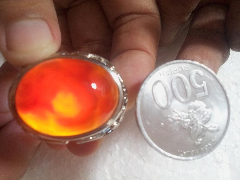 Batu Cincin Garut Bungbulang Gambar Ikan Oscar / Ikan Karang / Ikan Cupang