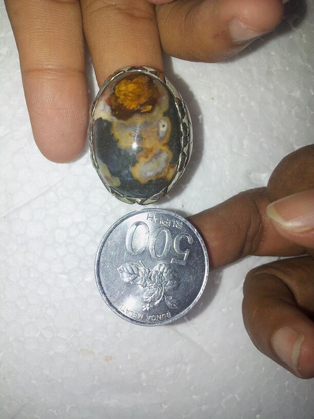 Batu Cincin Garut Bungbulang Gambar Ikan Oscar / Ikan Karang / Ikan Cupang