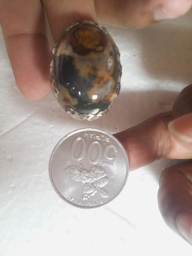 Batu Cincin Garut Bungbulang Gambar Ikan Oscar / Ikan Karang / Ikan Cupang