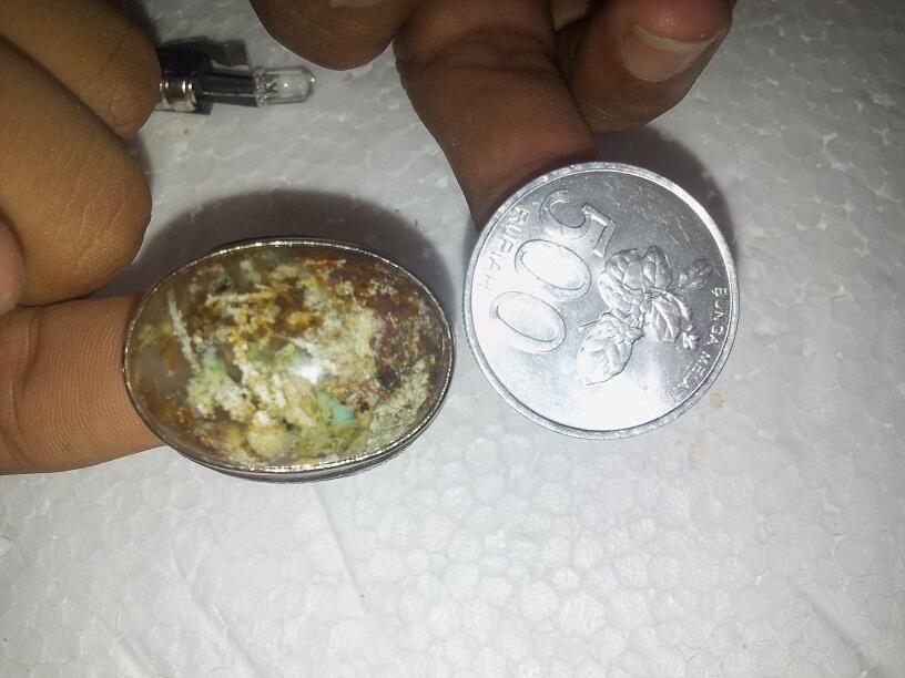 Batu Cincin Garut Bungbulang Gambar Ikan Oscar / Ikan Karang / Ikan Cupang