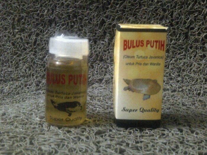 Minyak Bulus Original (Pengencang dan Pembesar Payudara)