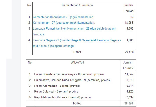 (Hot News) Pendaftaran CPNS di buka Pertengahan Agustus ini