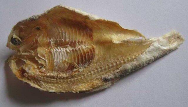 5 jenis makanan temen makan tempe 