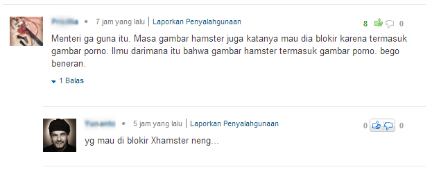 Gambar Hamster terancam Mau Diblokir Menkominfo?