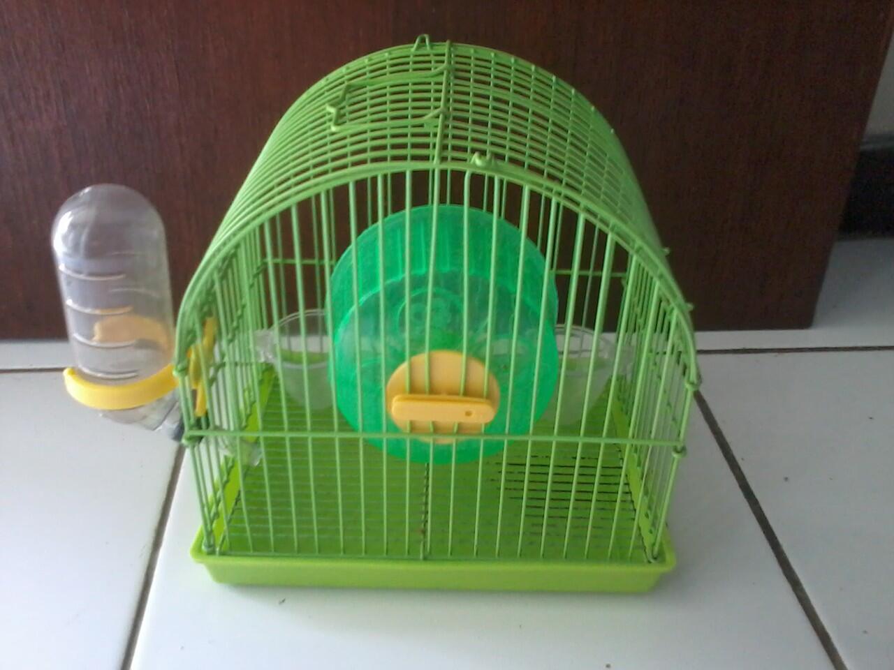 Kandang Hamster Mini Lucu
