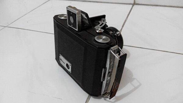 Greenflo ( Bounty Vintage )