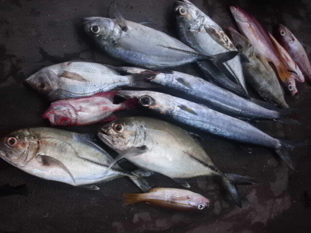 All About Lombok Island :)