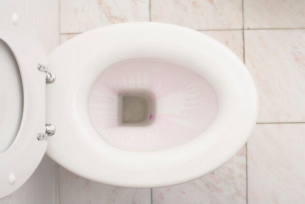 4 Fakta Penting Soal Urine