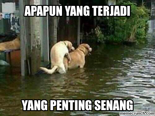 PARA ANJING YANG BIKIN AGAN DAN SISTA NGAKAK