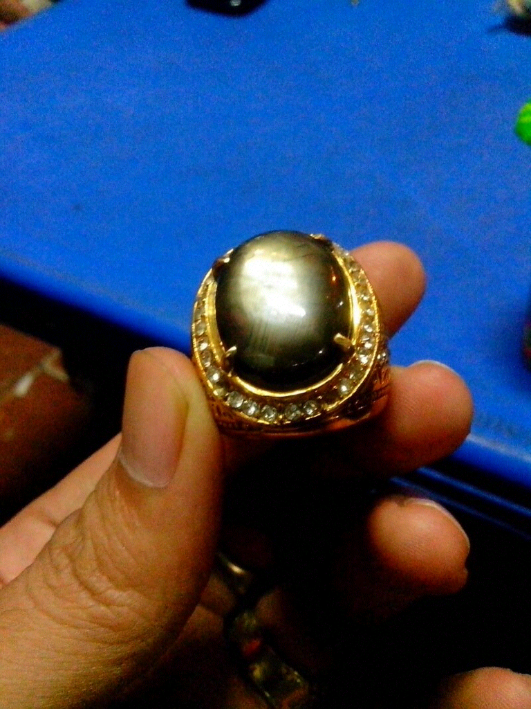 black shapire