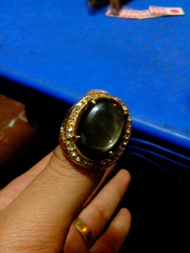 black shapire