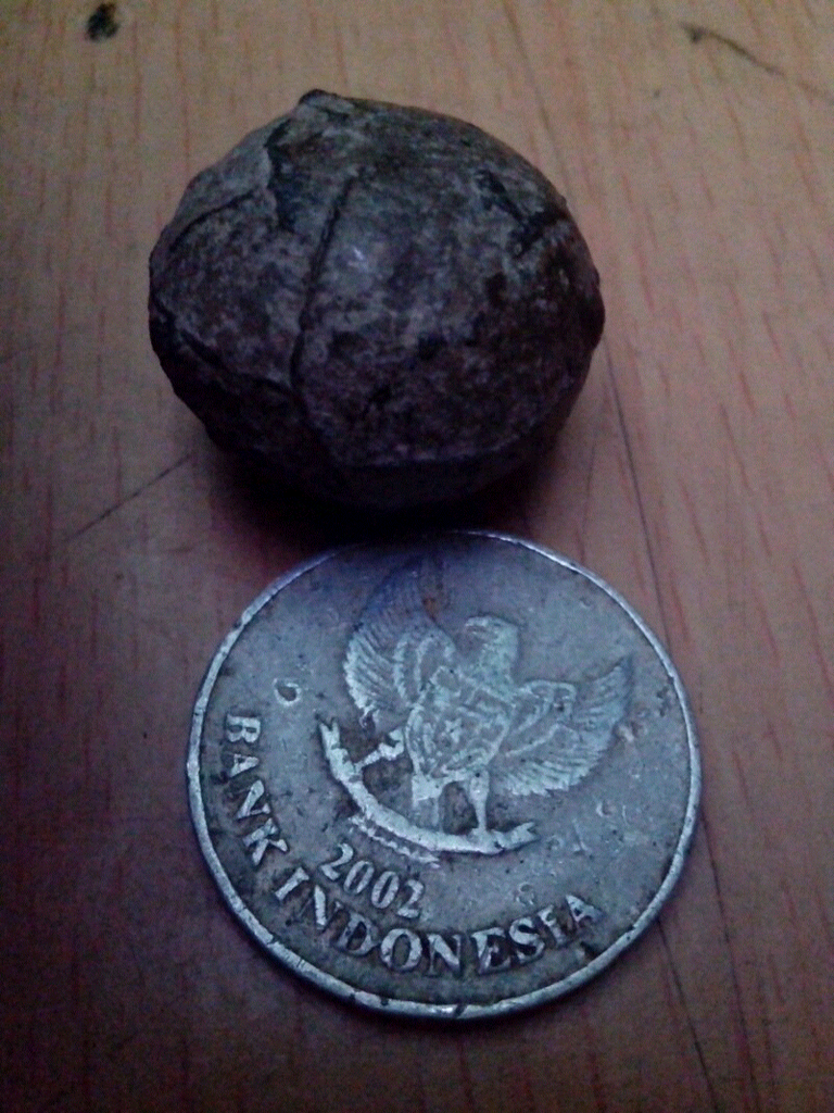 mustika jalasutra