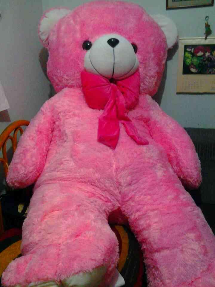 Jual Boneka Beruang SUPER BESAR 2 Mtr 1,4 Nego