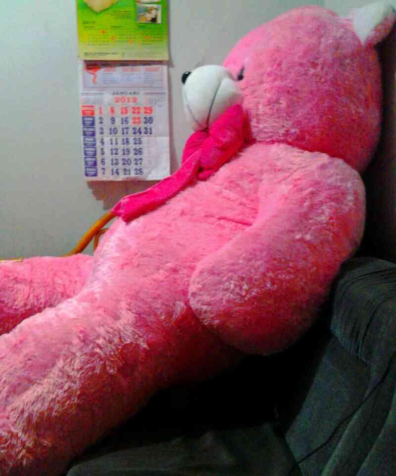 Jual Boneka Beruang SUPER BESAR 2 Mtr 1,4 Nego