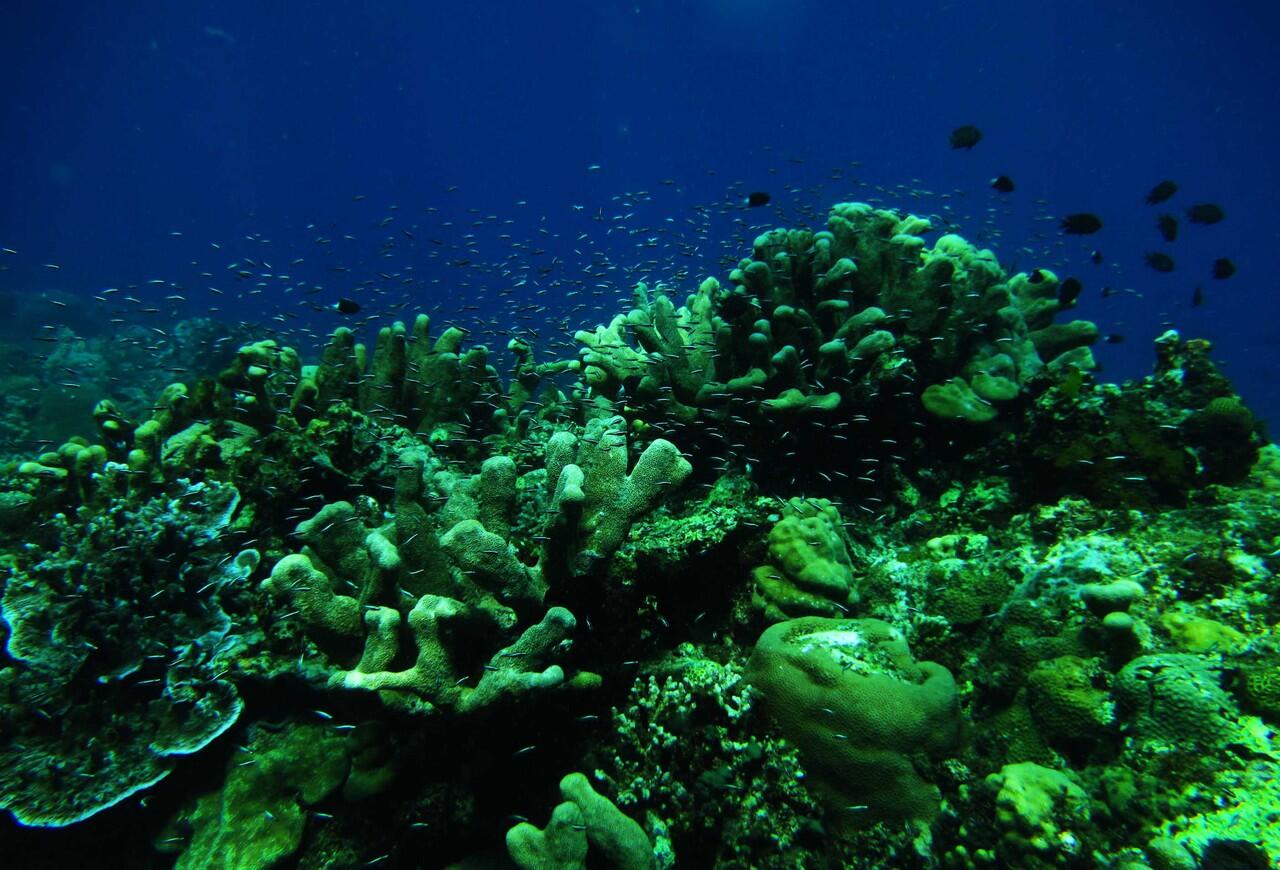 SIAU ISLAND -SULAWESI UTARA - SEPOTONG SURGA DI UTARA MANADO