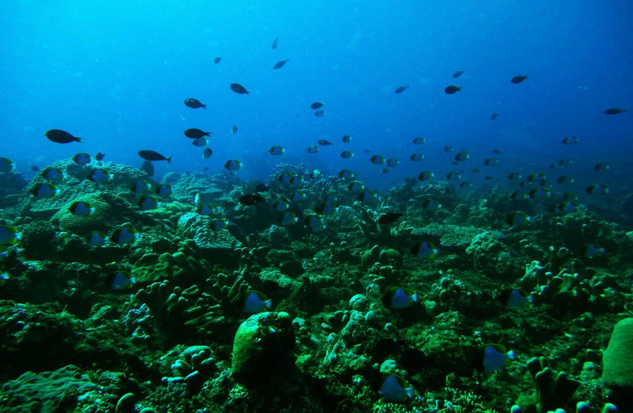 SIAU ISLAND -SULAWESI UTARA - SEPOTONG SURGA DI UTARA MANADO