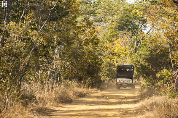 &#91;FR&#93; Enroute to Wilderness - Zimbabwe